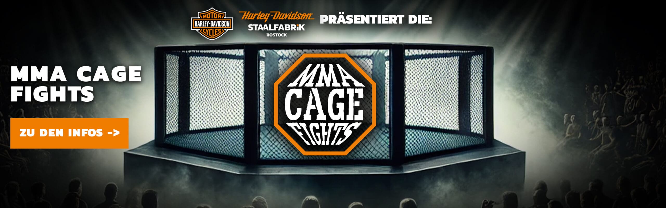 Websiteslider MMA Cage Fights Allgemein Startseite scaled